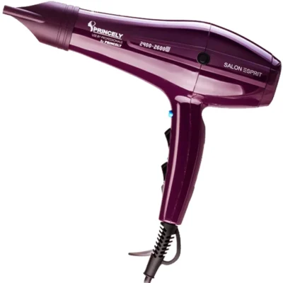 سشوار حرفه‌ای پرینسلی مدل PR250AT