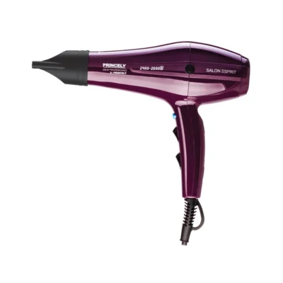 سشوار حرفه‌ای پرینسلی مدل PR250AT