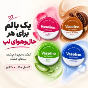 بالم لب وازلین 20 گرم در چهار مدل مختلف